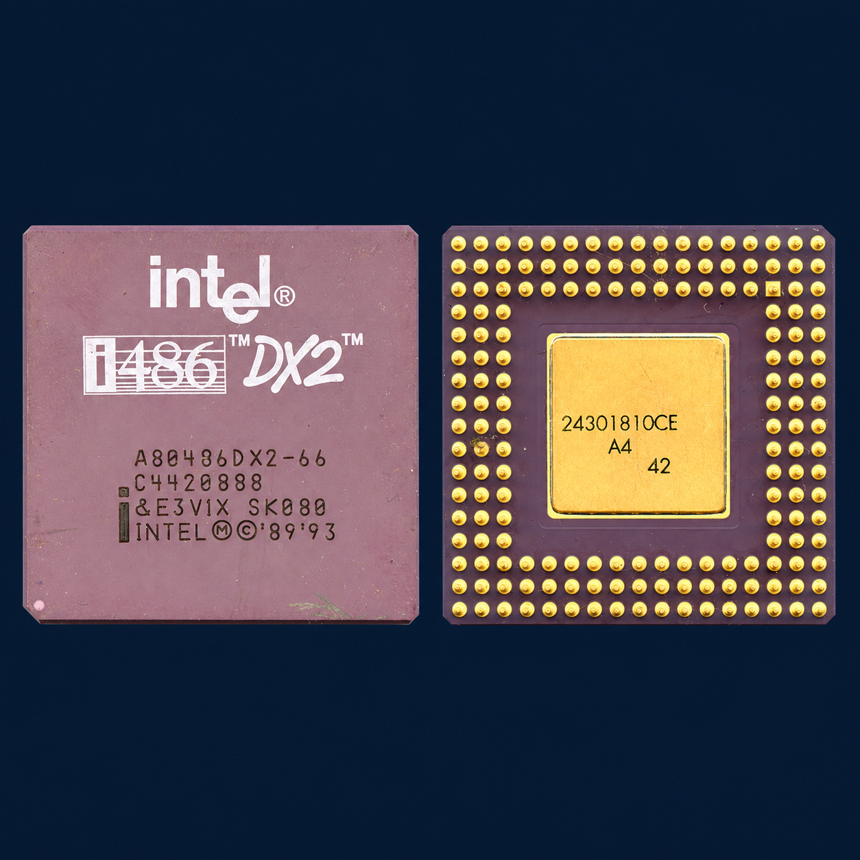 Процессоры Intel i486DX и i486DX2, керамические PGA, с жёлтой центральной пластиной и позолоченными выводами Процессоры Intel i486DX и i486DX2, керамические PGA, с жёлтой центральной пластиной и позолоченными выводами