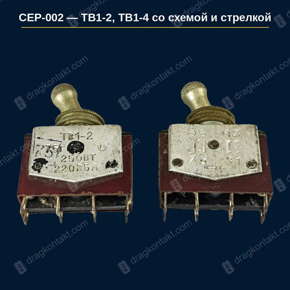 ТВ1-2, ТВ1-2Т, ТВ1-4, ТВ1-4Т со схемой и стрелкой — год не влияет; исполнения ТВ1-2, ТВ1-2Т, ТВ1-4, ТВ1-4Т по одной цене; только со схемой и стрелкой на корпусе; без схемы −27 %; белый корпус не принимаем — фото и цена приёма